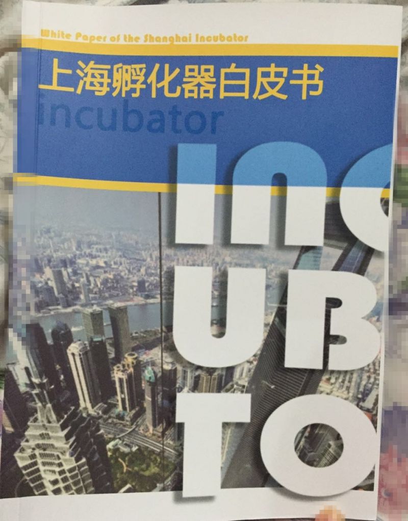孵化器
