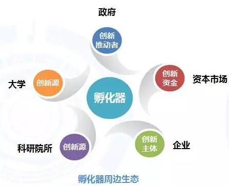孵化器