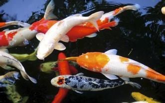 共享办公